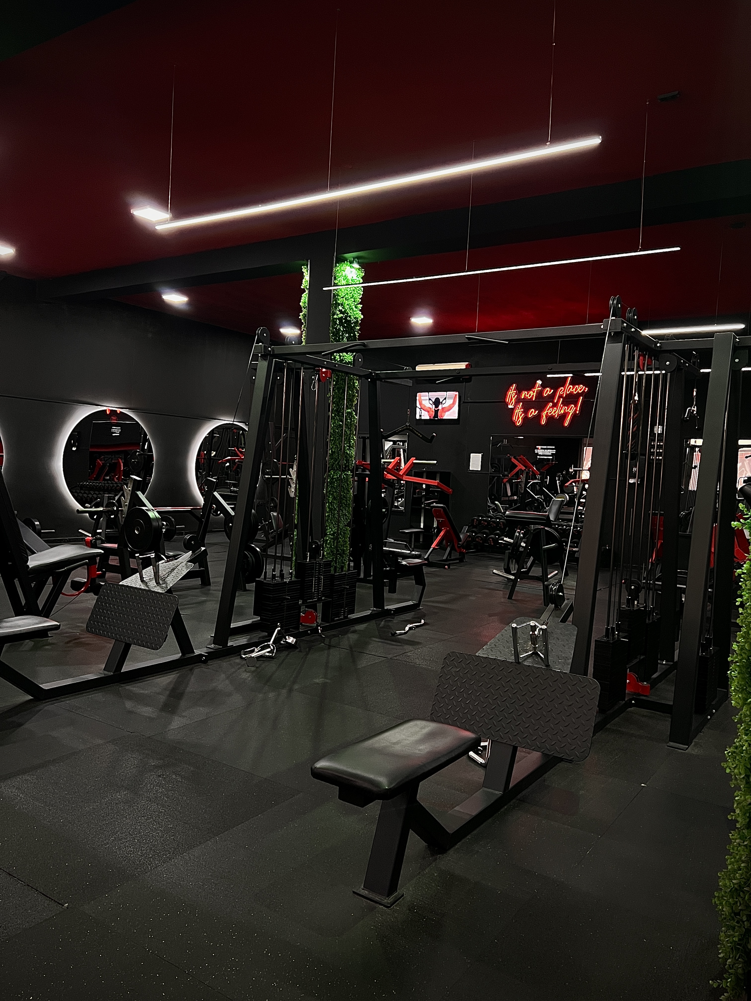 Gym Bros Fitness - 6