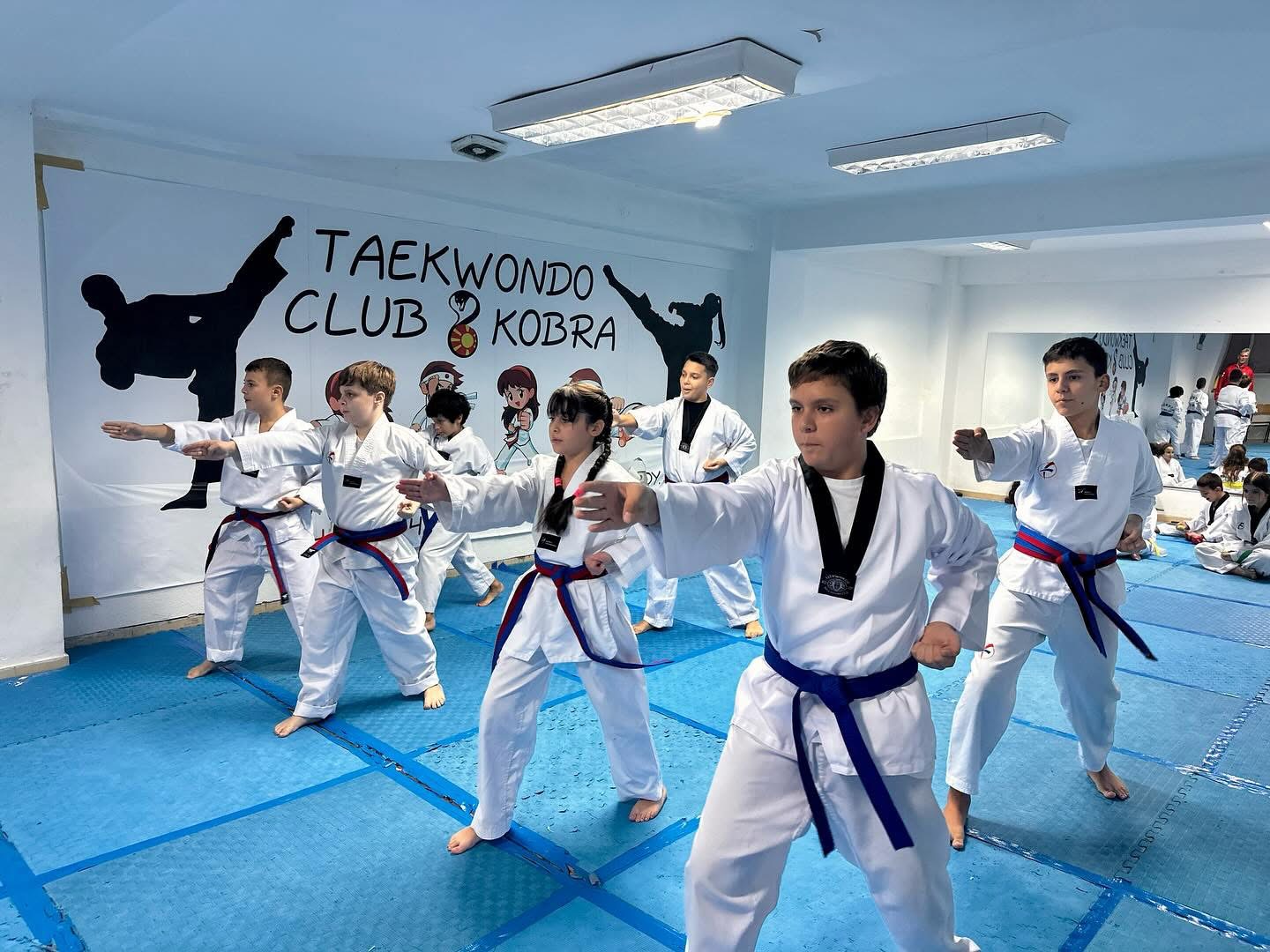 Таеквондо клуб Кобра - 2